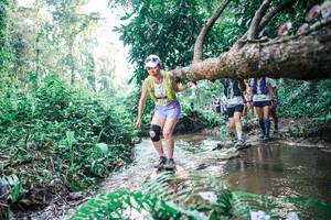 BIB: 
                            <button type="button" onclick="openModal(25455098)" class="btn btn-primary btn-sm float-right btn-popup" data-toggle="modal" data-target=".modal-high-quality">
                        <i class="fas fa-shopping-cart"></i> Add to Cart
                    </button>
                                            <button type="button" onclick="isThisMe(25455098, true)" class="btn btn-success btn-sm float-right btn-popup btn-isme hidden" data-toggle="tooltip" data-placement="bottom" title="นี่คือรูปของคุณใช่ไหม คลิกที่นี่เพื่อเอาเข้าอัลบั้ม">
                        <i class="fas fa-plus"></i> Add to album
                    </button>
                    <button type="button" onclick="isThisMe(25455098, false)" class="btn btn-warning btn-sm float-right btn-popup btn-isnotme hidden">
                        <i class="fas fa-ban"></i> Remove from album
                    </button>